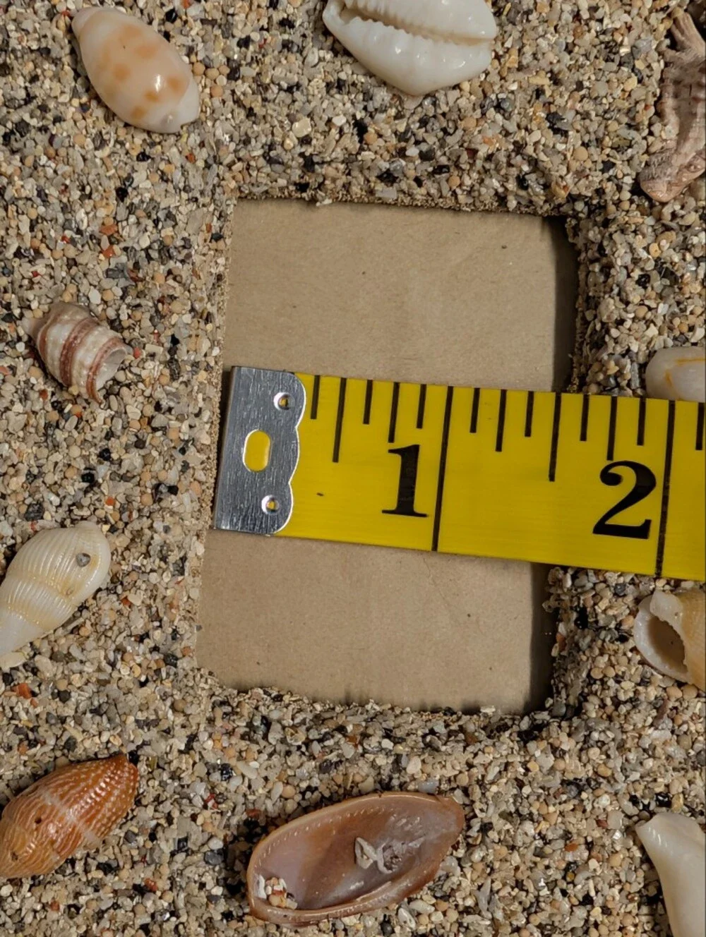 Seashell + Sand Picture Frame Decorative Photo Frame 4.5